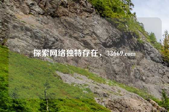 探索网络独特存在，33669.com