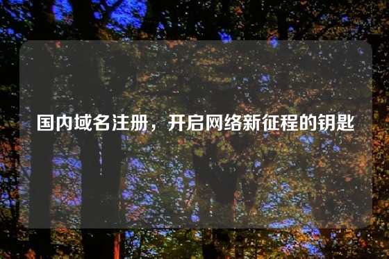 国内域名注册，开启网络新征程的钥匙