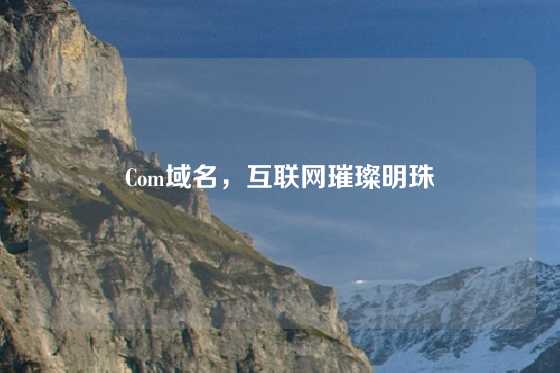 Com域名，互联网璀璨明珠