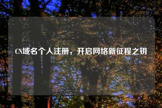 CN域名个人注册，开启网络新征程之钥