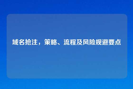 域名抢注，策略、流程及风险规避要点