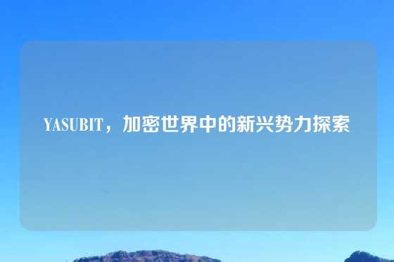 YASUBIT，加密世界中的新兴势力探索