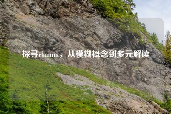 探寻chamm，从模糊概念到多元解读