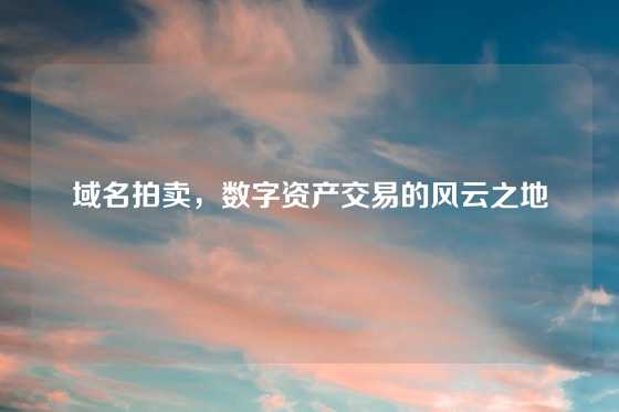 域名拍卖，数字资产交易的风云之地