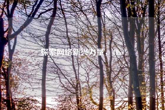 探索网络新兴力量，49vv
