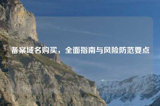 备案域名购买，全面指南与风险防范要点