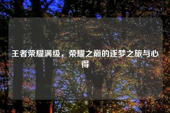 王者荣耀满级，荣耀之巅的逐梦之旅与心得