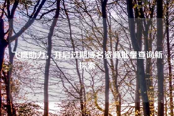 飞鹰助力，开启过期域名资源批量查询新探索