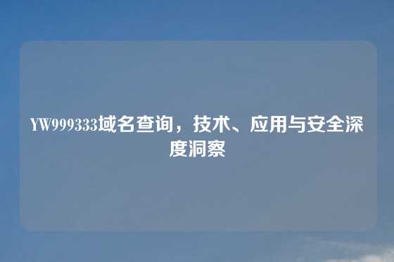 YW999333域名查询，技术、应用与安全深度洞察