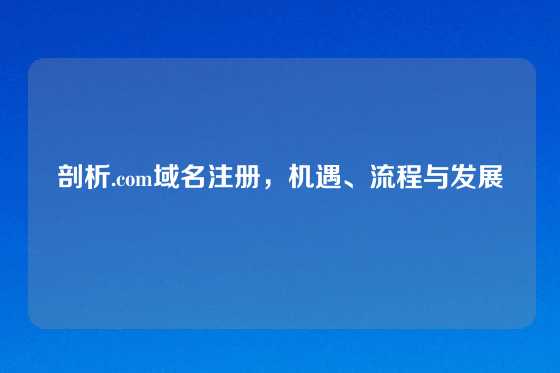 剖析.com域名注册，机遇、流程与发展