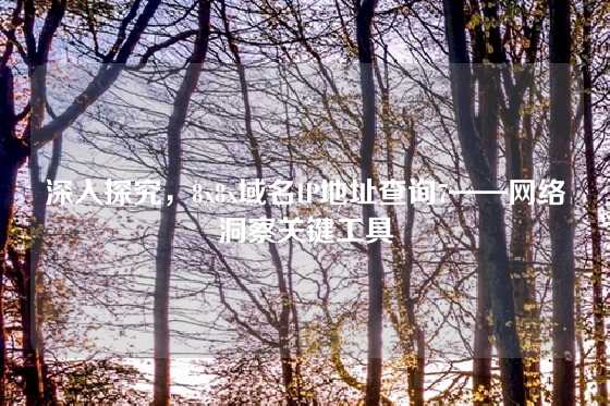 深入探究，8x8x域名IP地址查询7——网络洞察关键工具