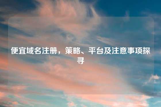 便宜域名注册，策略、平台及注意事项探寻