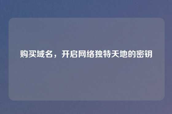 购买域名，开启网络独特天地的密钥