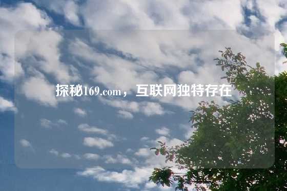 探秘169.com，互联网独特存在