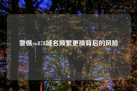 警惕yw878域名频繁更换背后的风险