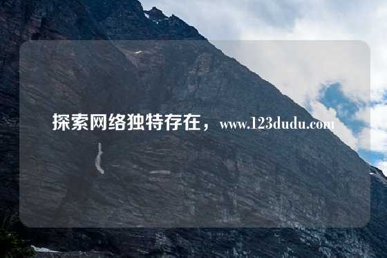 探索网络独特存在，www.123dudu.com