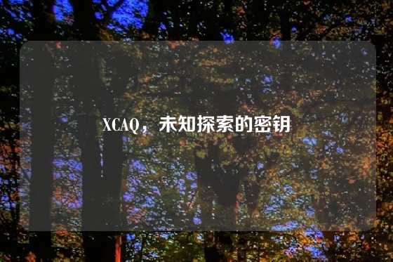 XCAQ，未知探索的密钥