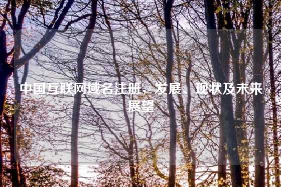 中国互联网域名注册，发展、现状及未来展望