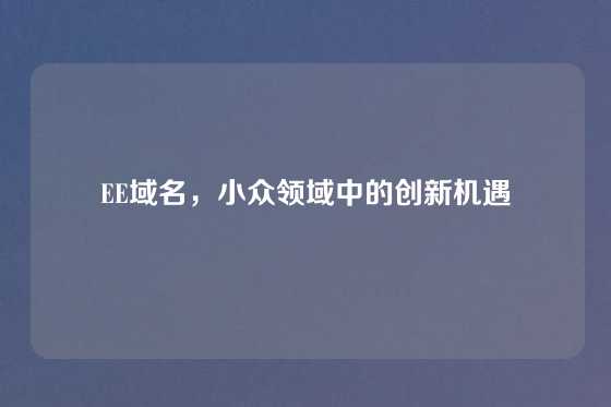 EE域名，小众领域中的创新机遇