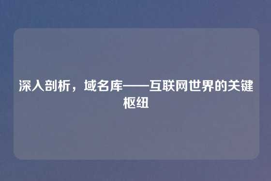 深入剖析，域名库——互联网世界的关键枢纽