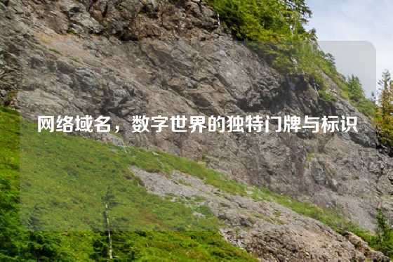 网络域名，数字世界的独特门牌与标识