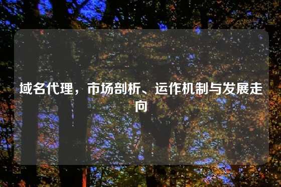 域名代理，市场剖析、运作机制与发展走向