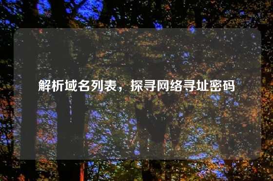 解析域名列表，探寻网络寻址密码