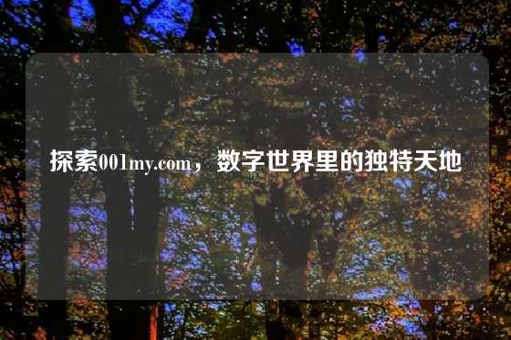 探索001my.com，数字世界里的独特天地