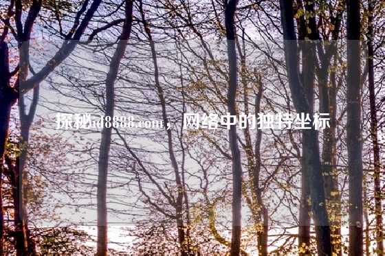 探秘id8888.com，网络中的独特坐标