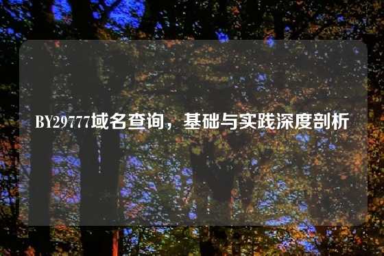 BY29777域名查询，基础与实践深度剖析