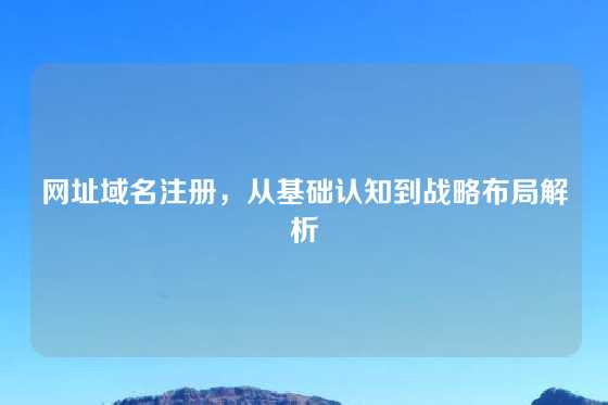 网址域名注册，从基础认知到战略布局解析