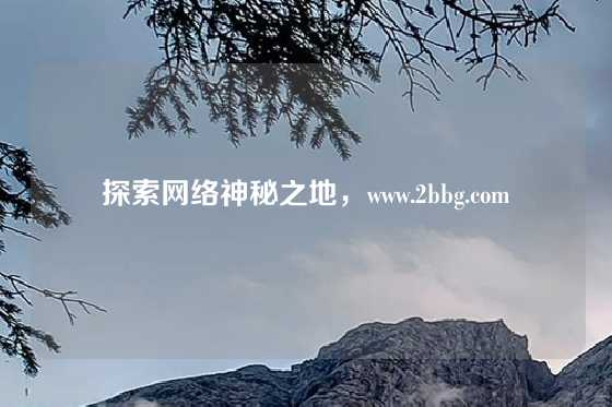 探索网络神秘之地，www.2bbg.com