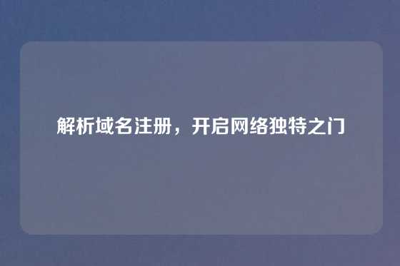 解析域名注册，开启网络独特之门