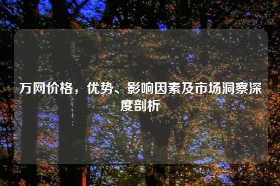 万网价格，优势、影响因素及市场洞察深度剖析