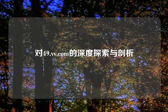 对49.vv.com的深度探索与剖析