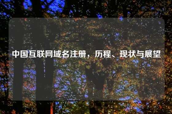 中国互联网域名注册，历程、现状与展望