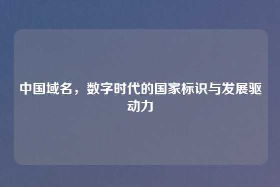 中国域名，数字时代的国家标识与发展驱动力