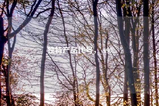 独特产品代号，yx99