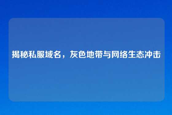 揭秘私服域名,灰色地带与网络生态冲击