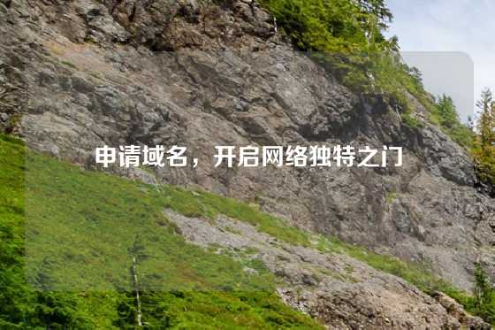 申请域名，开启网络独特之门