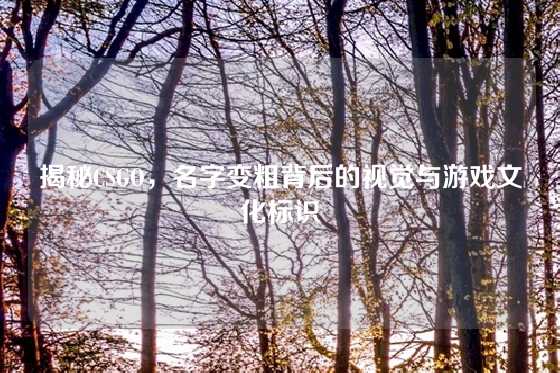 揭秘CSGO，名字变粗背后的视觉与游戏文化标识