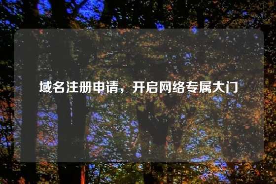 域名注册申请，开启网络专属大门