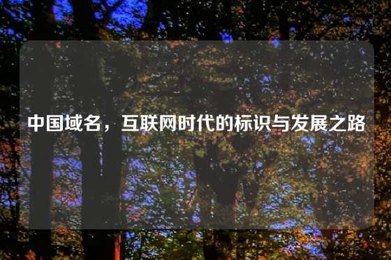 中国域名，互联网时代的标识与发展之路