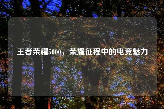 王者荣耀5000,荣耀征程中的电竞魅力