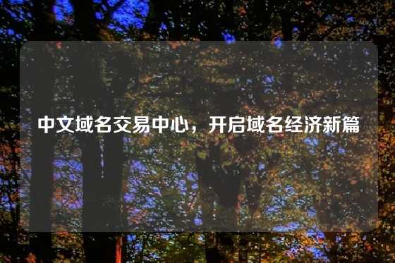 中文域名交易中心,开启域名经济新篇