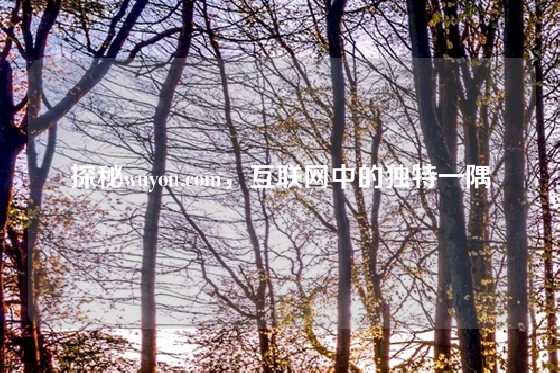 探秘wuyou.com，互联网中的独特一隅