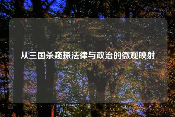 从三国杀窥探法律与政治的微观映射