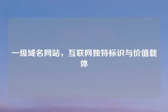 一级域名网站，互联网独特标识与价值载体