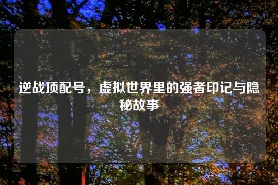 逆战顶配号，虚拟世界里的强者印记与隐秘故事