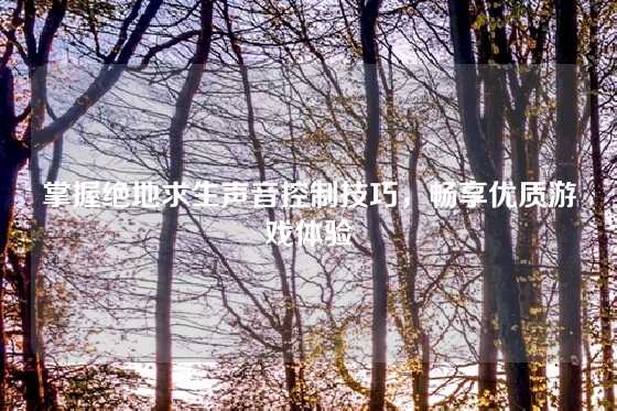 掌握绝地求生声音控制技巧，畅享优质游戏体验